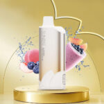 BLUEBERRY-PEACH-SMOOTHIE